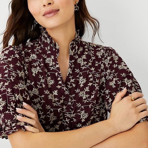 Ann Taylor Embroidered Ruffled Blouse Short Sleeve Size PXL - Picture 1 of 12